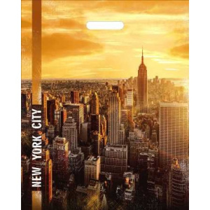 Пакет с прорубной ручкой ПВД 40х50 (80 мкм) Башни (50500 шт.) Интерпак