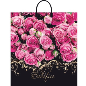 Пакет с пластиковой ручкой ПВД 40х44 (100 мкм) Бенефис лам. (10100 шт.) Интерпак