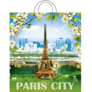 Пакет с петлевой ручкой ПНД 38х42 (40 мкм) Цветущий город (25500 шт.) Интерпак