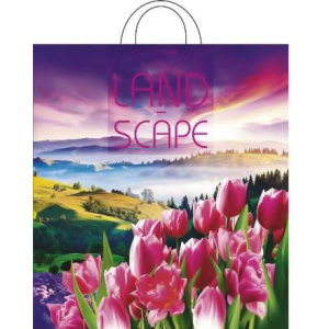 Пакет с петлевой ручкой ПНД 38х42 (40 мкм) Просторы (25500 шт.) Интерпак