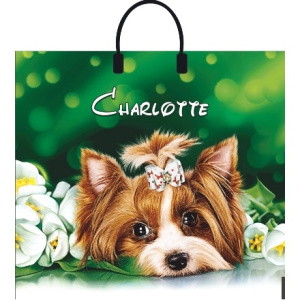 Пакет с пластиковой ручкой ПВД 38х35 (90 мкм) Шарлотта сумка лам. (10100 шт.) Интерпак