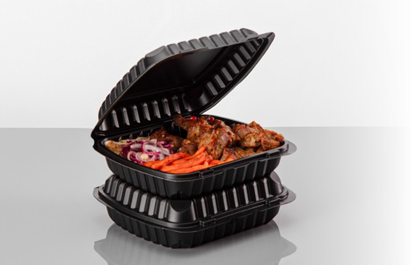 Ланч-бокс (209х23х62) ПП РК-241