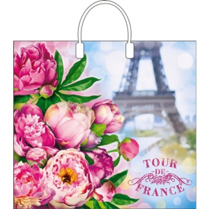 Пакет с пластиковой ручкой ПВД 38х35 (90 мкм) Тур-де-Франс лам. (10100 шт.) Интерпак