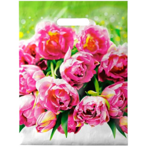 Пакет с прорубной ручкой ПВД 30х40 (35 мкм) Натюрель (501000 шт.) Интерпак