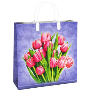 Пакет мягкий пластик 30х30 (150 мкм) "Шарм" лам. (10/40 шт.) Интерпак