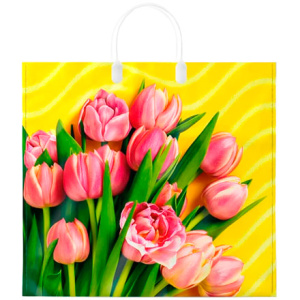 Пакет с пластиковой ручкой ПВД 37х34 (80 мкм) "Муза" (10/100 шт.) Интерпак